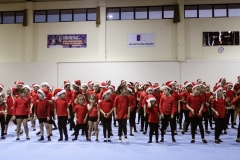 386-IMG_7867