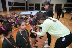 Campeonato de Ginastica . Dia 2 (3414)