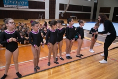Campeonato de Ginastica . Dia 2 (3422)