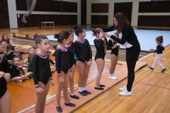 Campeonato de Ginastica . Dia 2 (3424)