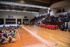 Campeonato de Ginastica . Dia 2 (3478)