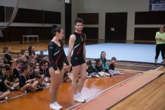 Campeonato de Ginastica . Dia 2 (3502)